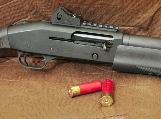 12 Vis-à-Vis 20 Gauge