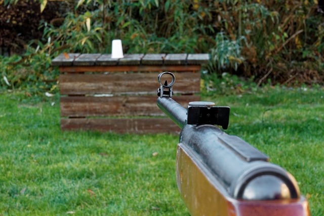 gun