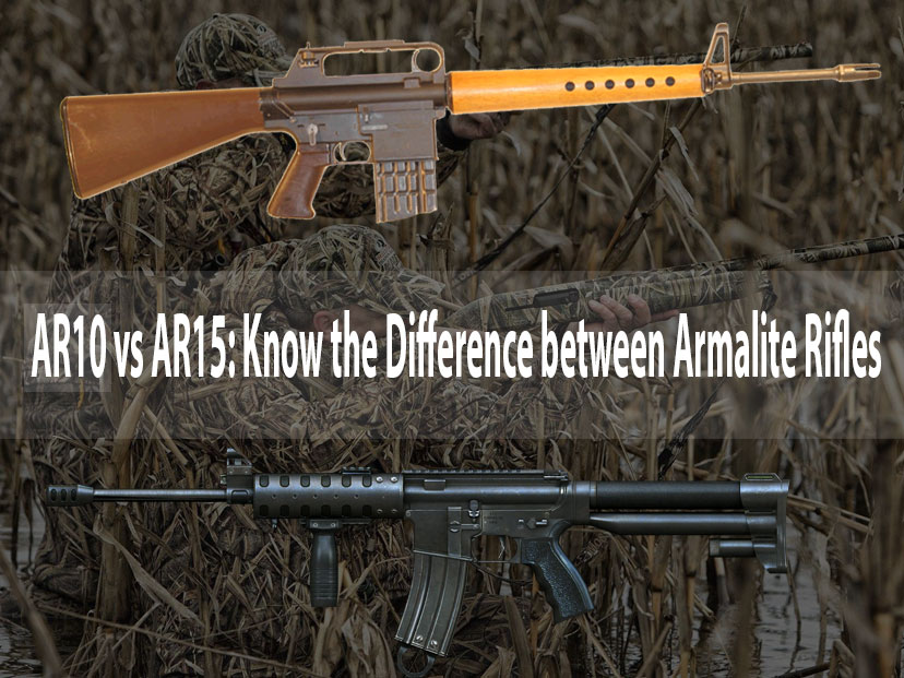 AR10 vs AR15